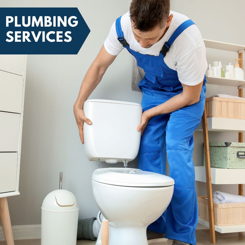 Plumbing Company in Bath, MI